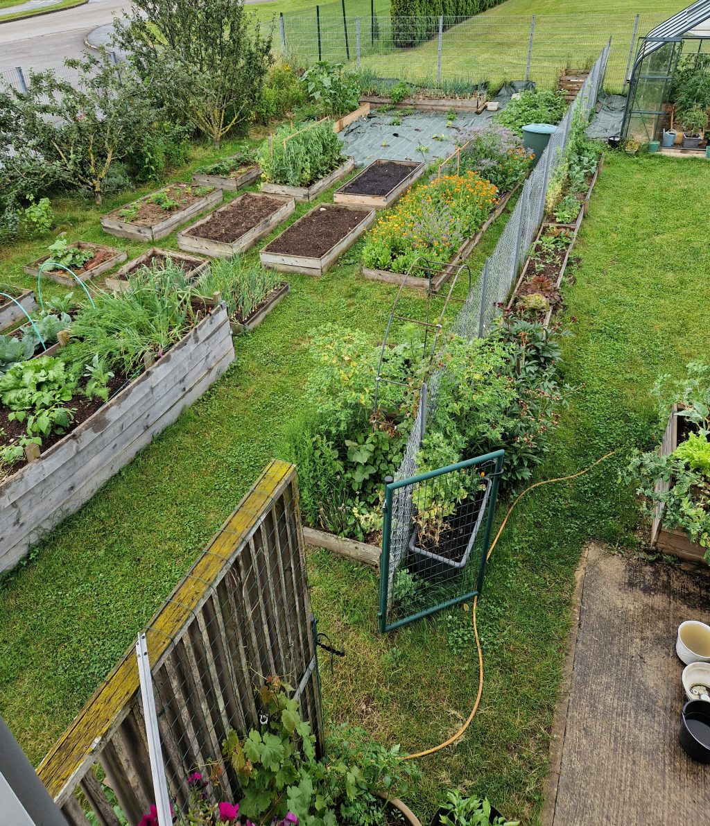 Présentation de notre potager à plus de 800 mètres d&rsquo;altitude