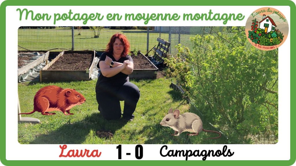 Moi accroupie dans mon potager en moyenne montagne, face aux campagnols