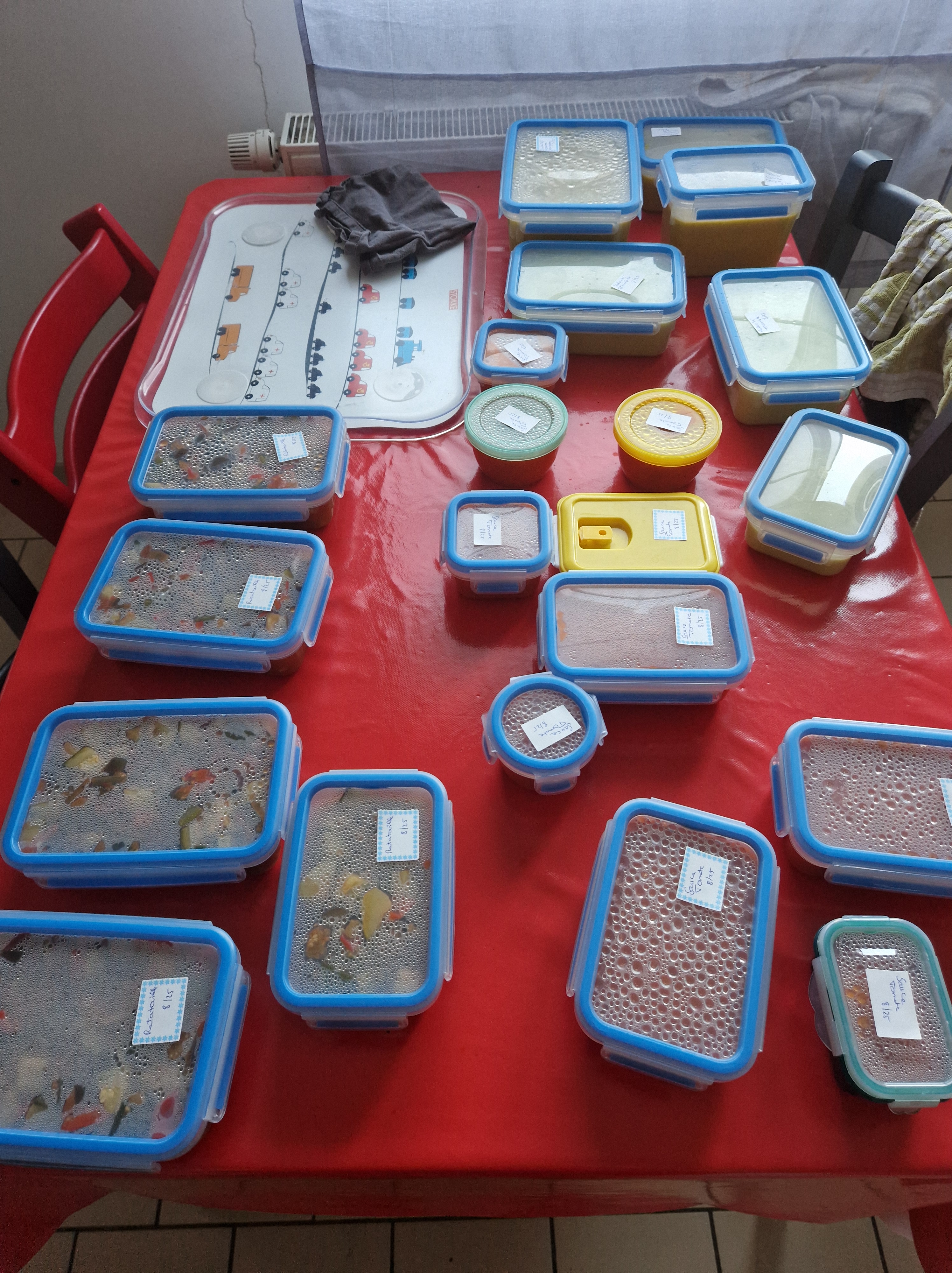 Récolte du potager au mois d'août