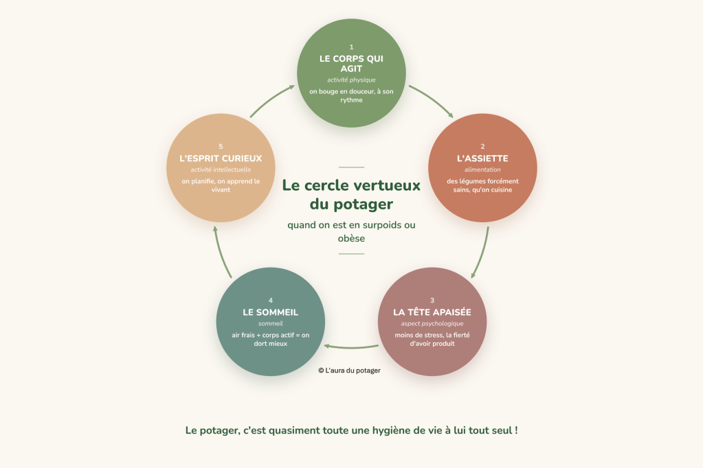 Schéma du cercle vertueux du potager