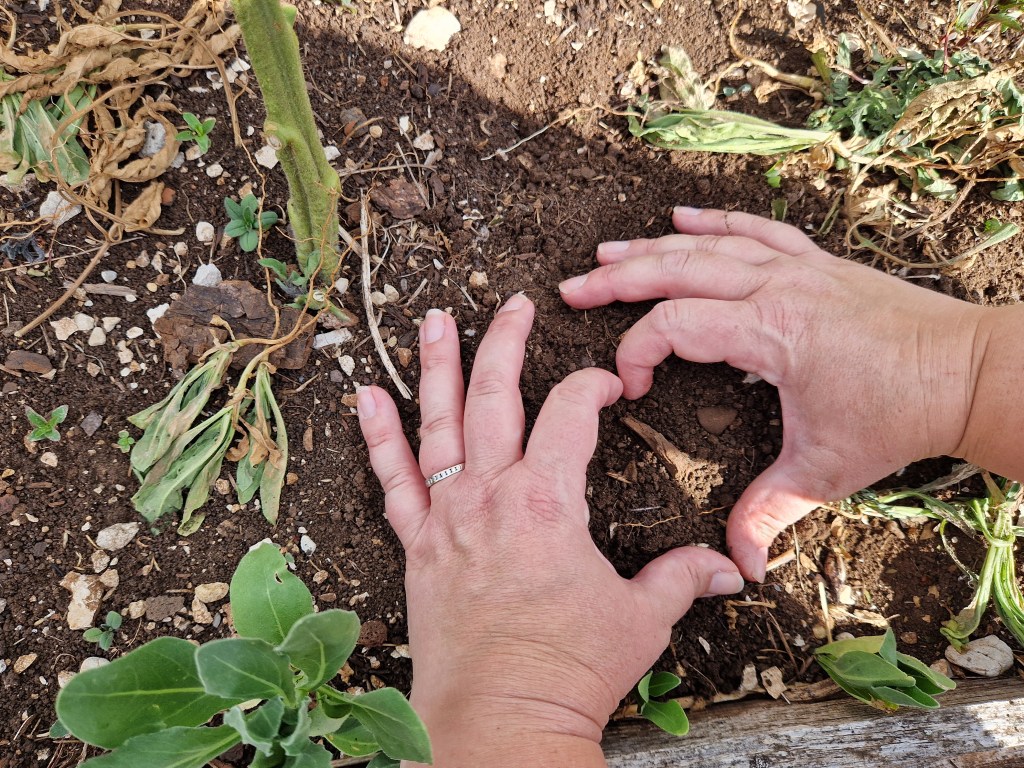 Mains formant un cœur dans la terre