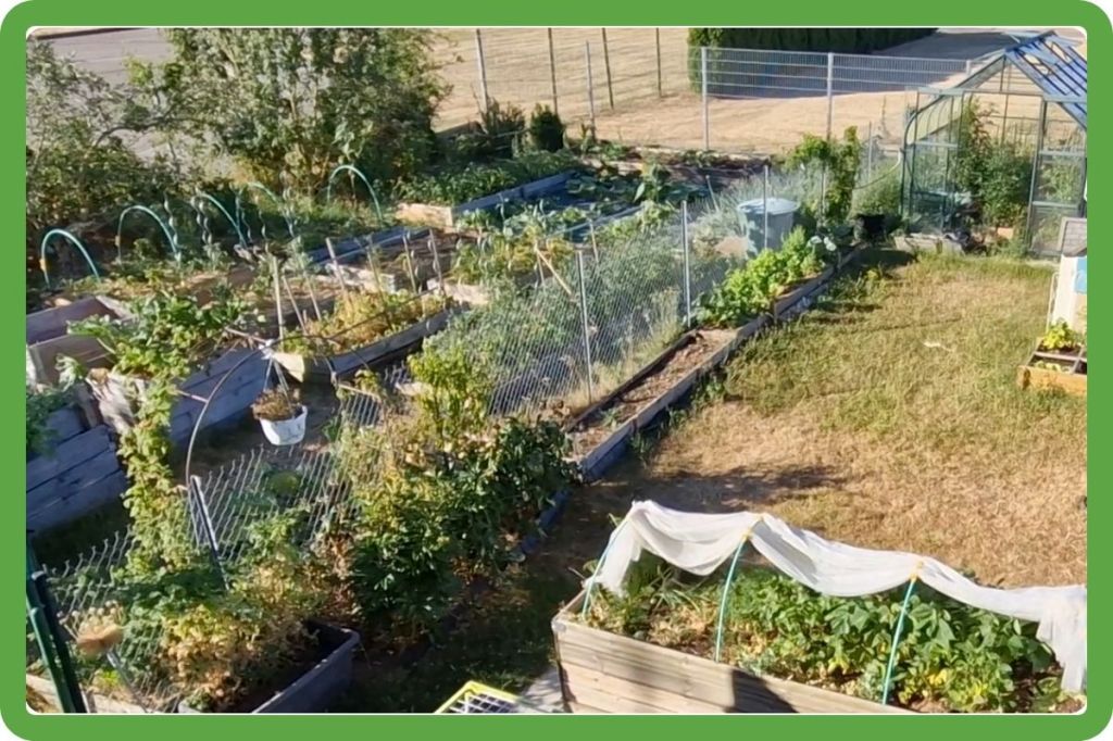 À 800 m d’altitude, mon potager n’est pas armé pour une telle sécheresse !
