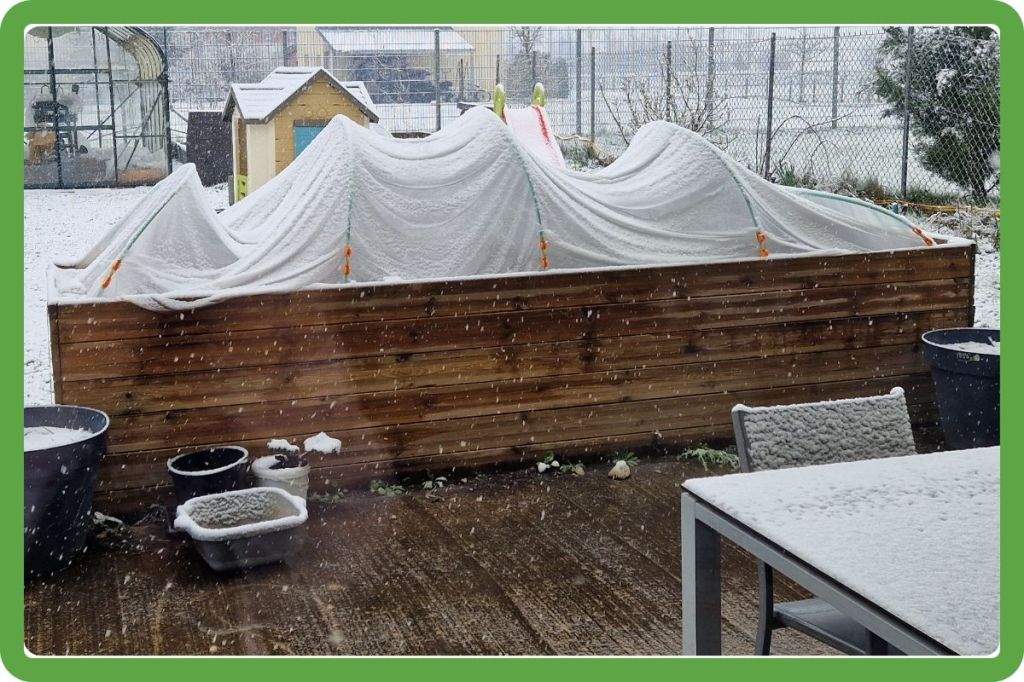 Préparer son potager d’hiver en moyenne montagne : 6 légumes à semer et planter en mai !