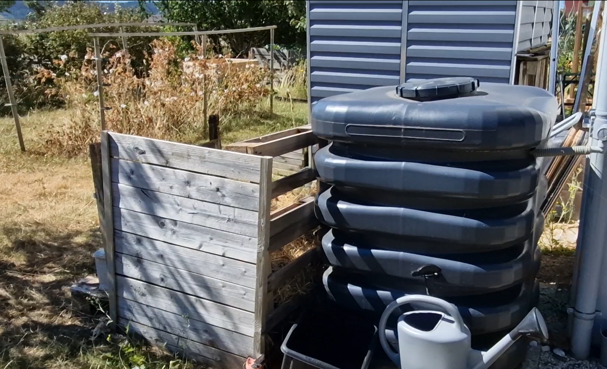 Récupérateur d'eau de pluie vide au potager pendant la sécheresse