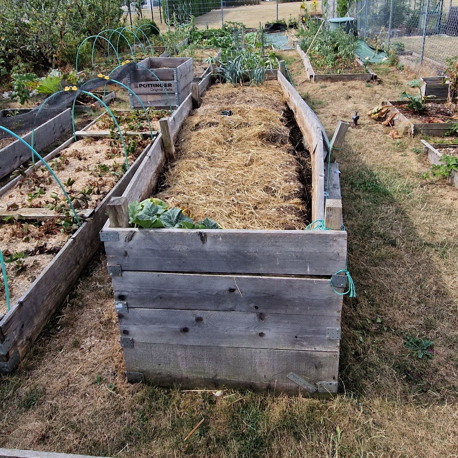 Bac potager surélevé en bois non traité vu dans sa longueur, aux planches déformées