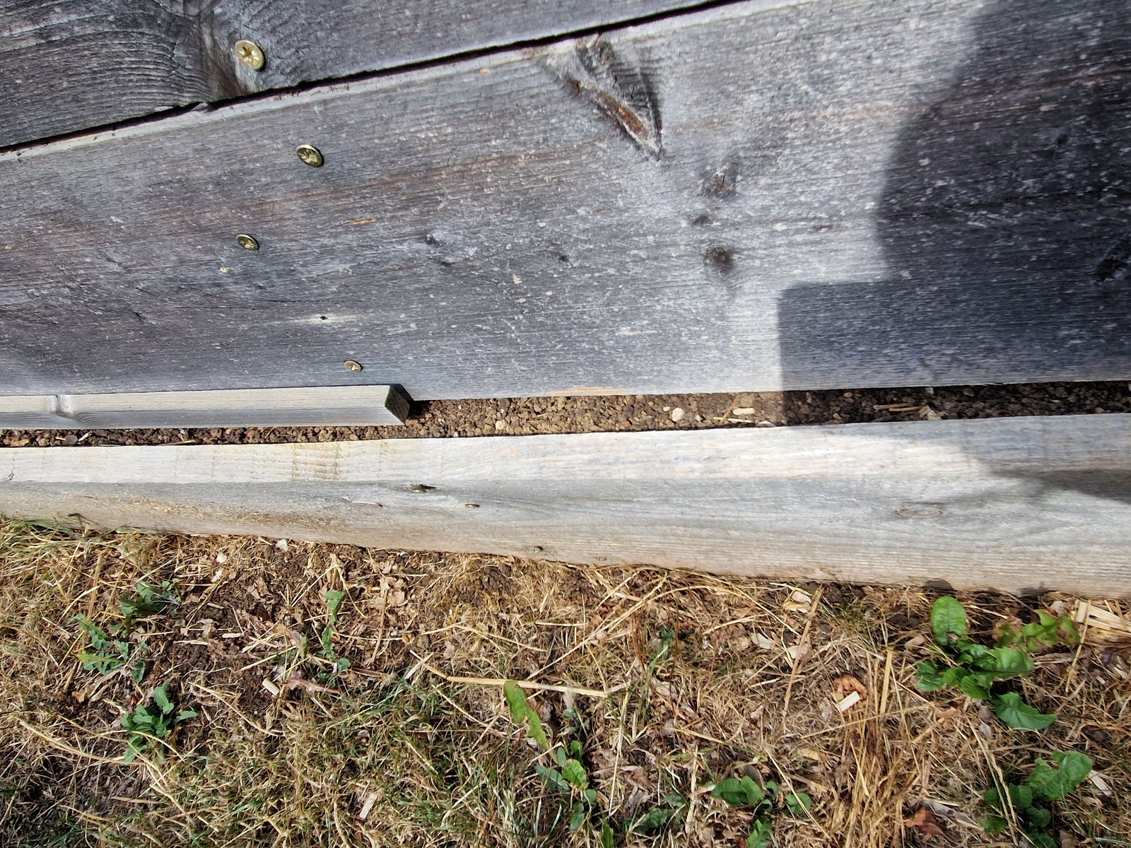 Deux planches écartées sur un bac potager en bois non traité