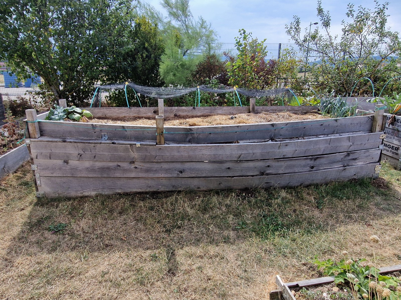 Bac potager surélevé en bois non traité dont les planches se sont écartées
